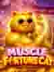 MUSCLE FORTUNE CAT